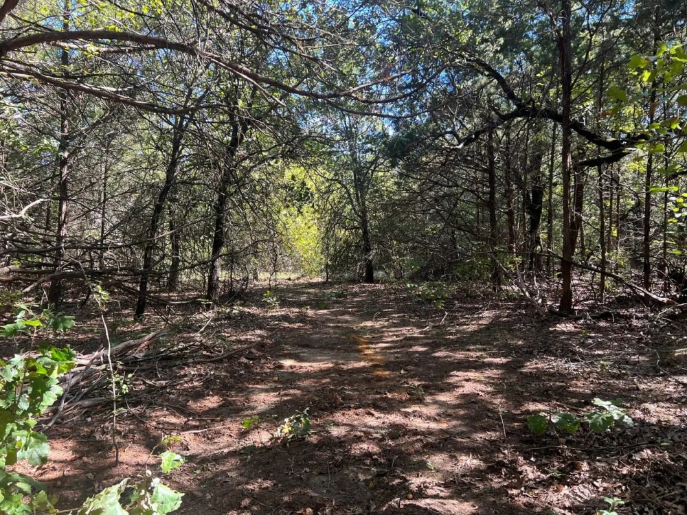 Grayson County land for sale near Lake Texoma featured image