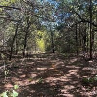 Grayson County land for sale near Lake Texoma