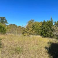 Grayson County land for sale near Lake Texoma images 2
