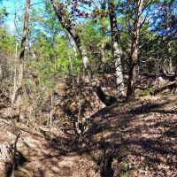Grayson County land for sale near Lake Texoma images 4