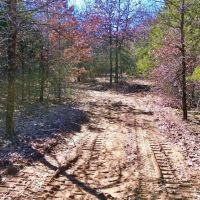 Grayson County land for sale near Lake Texoma images 5