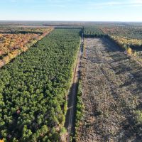 175 Acres FM 2120 Kiskadee images 2