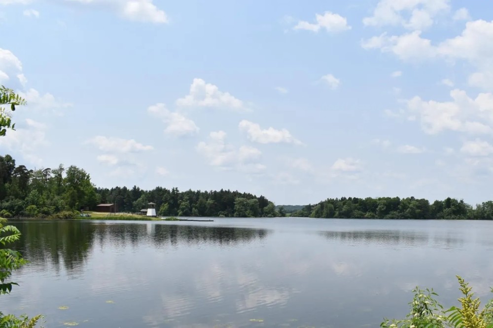 Camp Dittmer featured image