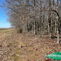 66 ac - Hunting Tract with Home Site Potential - PRICE REDUCED images 3