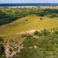 150 Acres Hunting Ranch Wheeler County