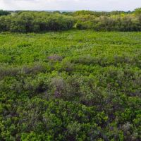 150 Acres Hunting Ranch Wheeler County images 4