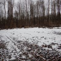 Pigeon Hill Hunt Play images 3