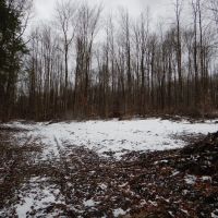 Pigeon Hill Hunt Play images 5