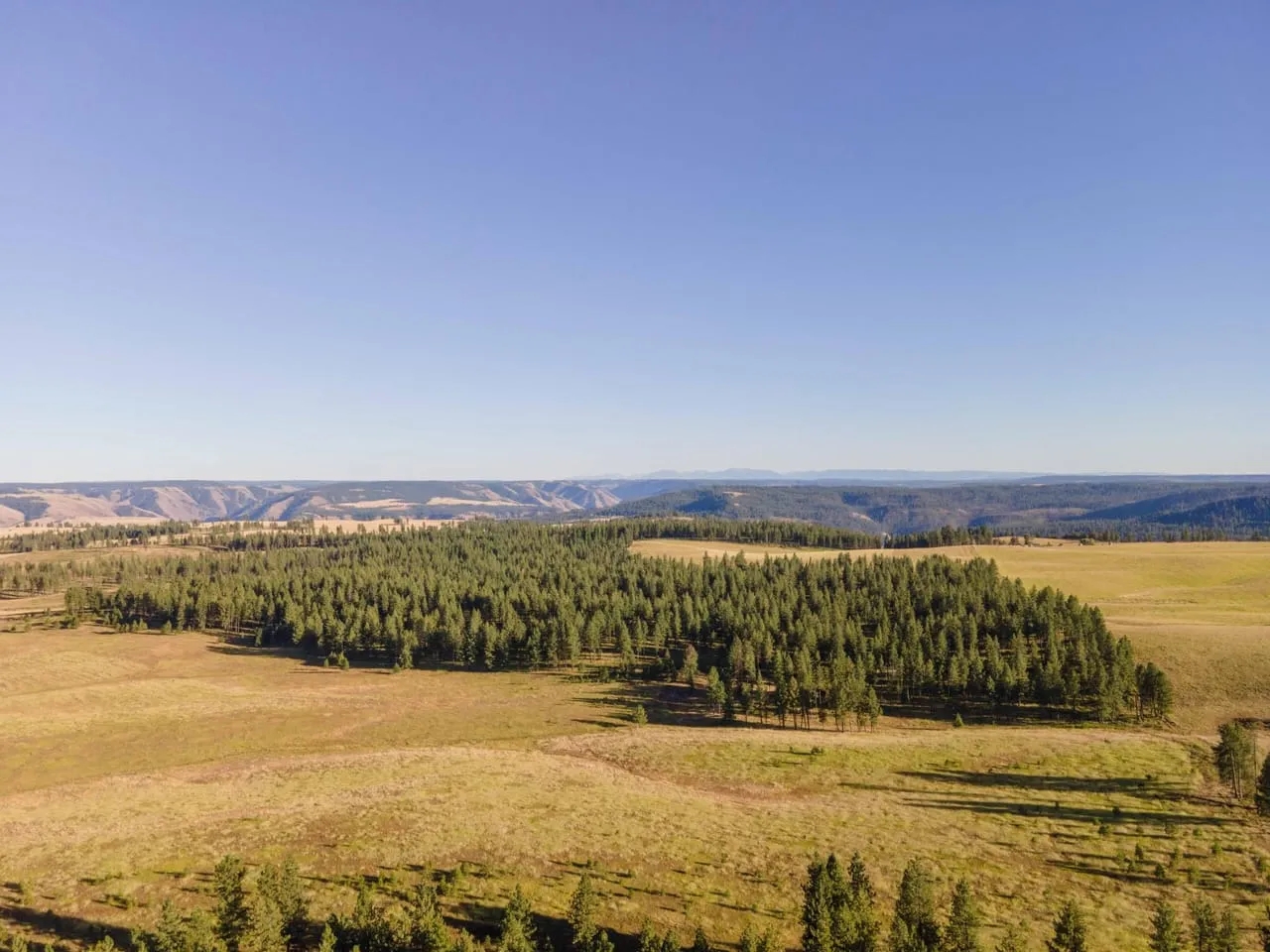 The Madison Place Hunting Land for Sale