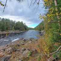 Hudson River Woods Water
