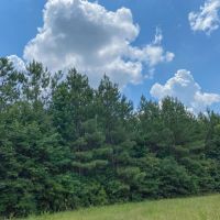 411 Acres Hwy 59 images 2