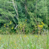 411 Acres Hwy 59 images 5