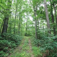 TR 263 - 25 acres - Jefferson County