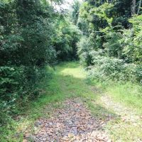 TR 263 - 25 acres - Jefferson County images 2