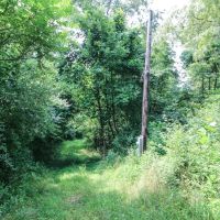 TR 263 - 25 acres - Jefferson County images 3