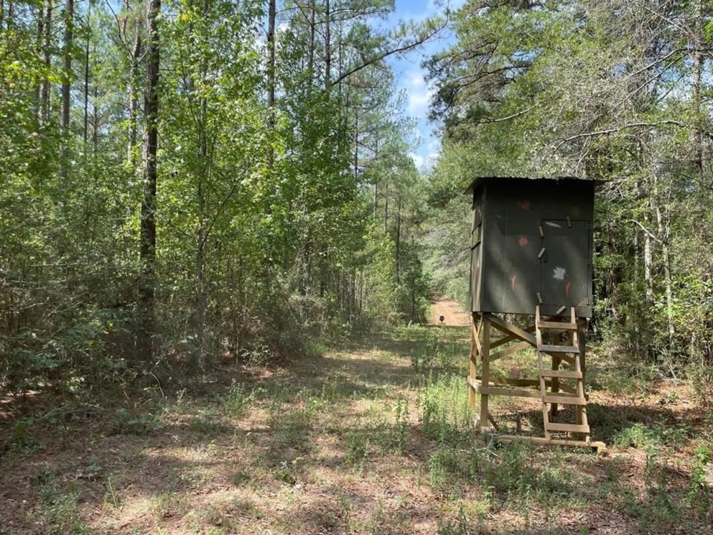 37.46 AC Amite County For Sale Near the State Line featured image