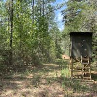 37.46 AC Amite County For Sale Near the State Line