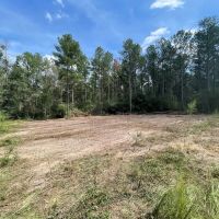 37.46 AC Amite County For Sale Near the State Line images 2