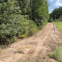 37.46 AC Amite County For Sale Near the State Line images 3