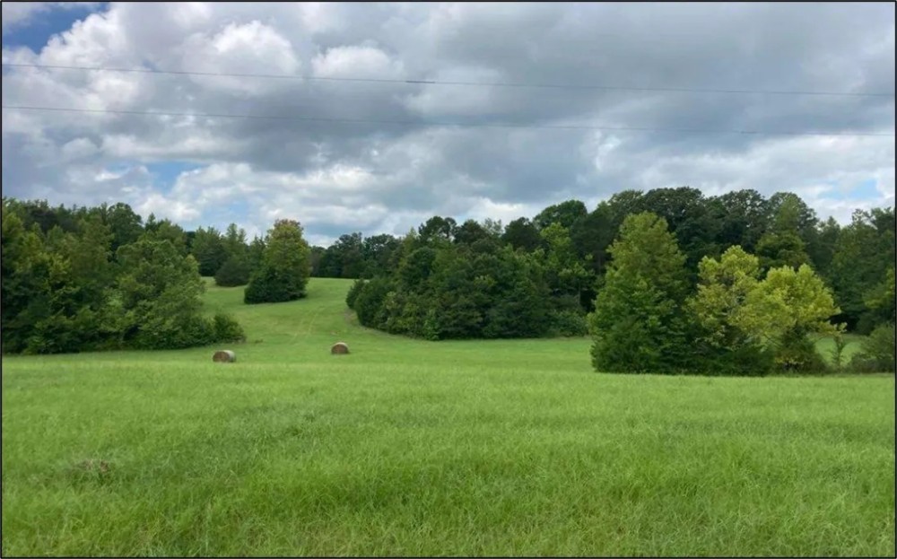 97.6 Acres in Tallahatchie County Hunting Land for Sale