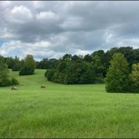 97.6 Acres in Tallahatchie County