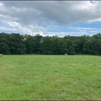 97.6 Acres in Tallahatchie County images 2