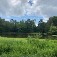 97.6 Acres in Tallahatchie County images 3