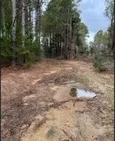 97.6 Acres in Tallahatchie County images 4