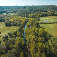 The Springs Of Strother Creek images 2
