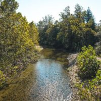 The Springs Of Strother Creek images 5