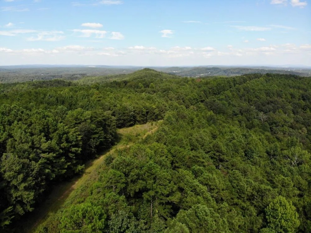 59-019-pond-mountain-139ac featured image