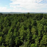 59-019-pond-mountain-139ac images 2