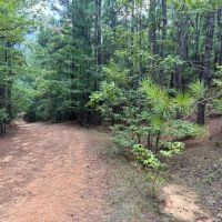59-019-pond-mountain-139ac images 4