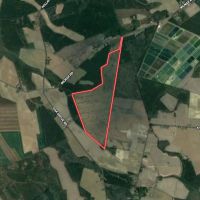 166 acres of Hunting and Timber Land For Sale in Craven County NC