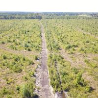 166 acres of Hunting and Timber Land For Sale in Craven County NC images 4
