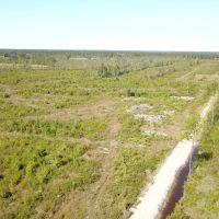 166 acres of Hunting and Timber Land For Sale in Craven County NC images 5