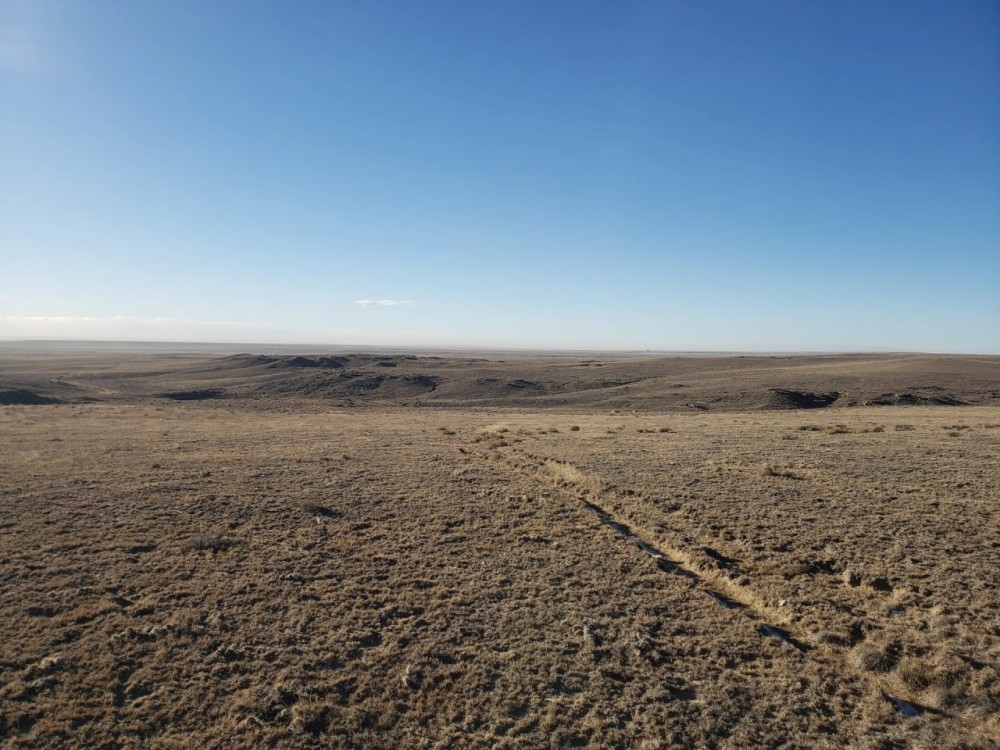 Fabrizius Ranch featured image