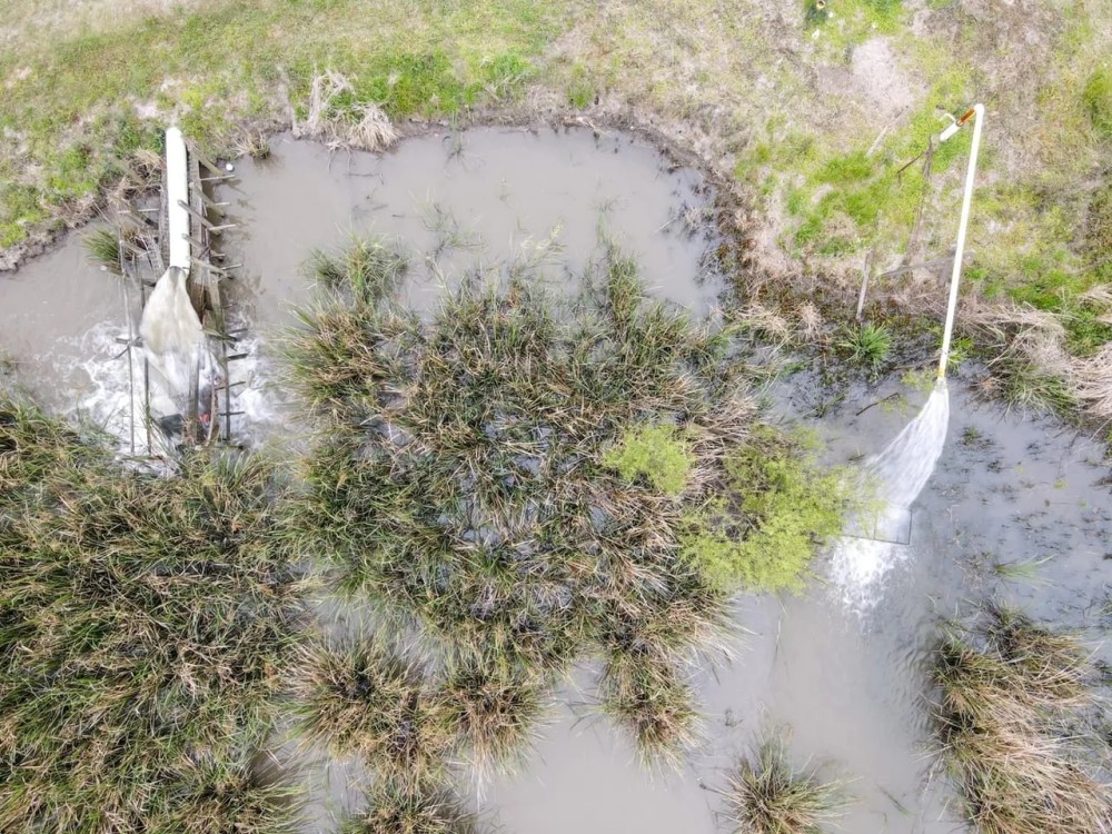 108 Acres Land for Sale Iberia Parish LA featured image