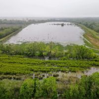 108 Acres Land for Sale Iberia Parish LA images 2
