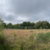 108 Acres Land for Sale Iberia Parish LA images 3