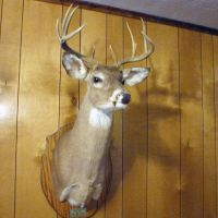 SPORTSMAN’S PARADISE! Big Kiamichi Ranch