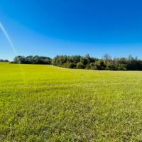 20 Stunning acres some pasture Mature Woods Jayess MS