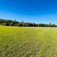 20 Stunning acres some pasture Mature Woods Jayess MS images 2
