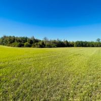 20 Stunning acres some pasture Mature Woods Jayess MS images 3