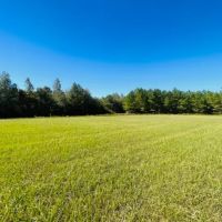 20 Stunning acres some pasture Mature Woods Jayess MS images 4