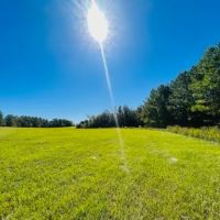20 Stunning acres some pasture Mature Woods Jayess MS images 5