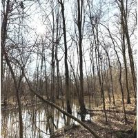 38.45 Acres in Rankin County in Pearl MS