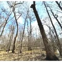 38.45 Acres in Rankin County in Pearl MS images 3