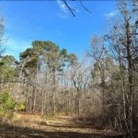 38.45 Acres in Rankin County in Pearl MS images 5