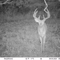 Quality hunting building recreational property